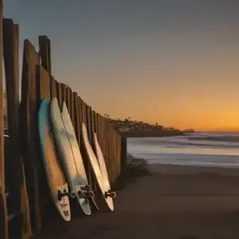 Gearing Up for Surf and Skate